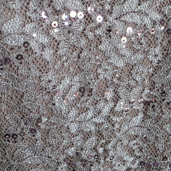 R&M Richards Lace & Sequin Tank Top, Mauve, Size 12 - Picture 7 of 9